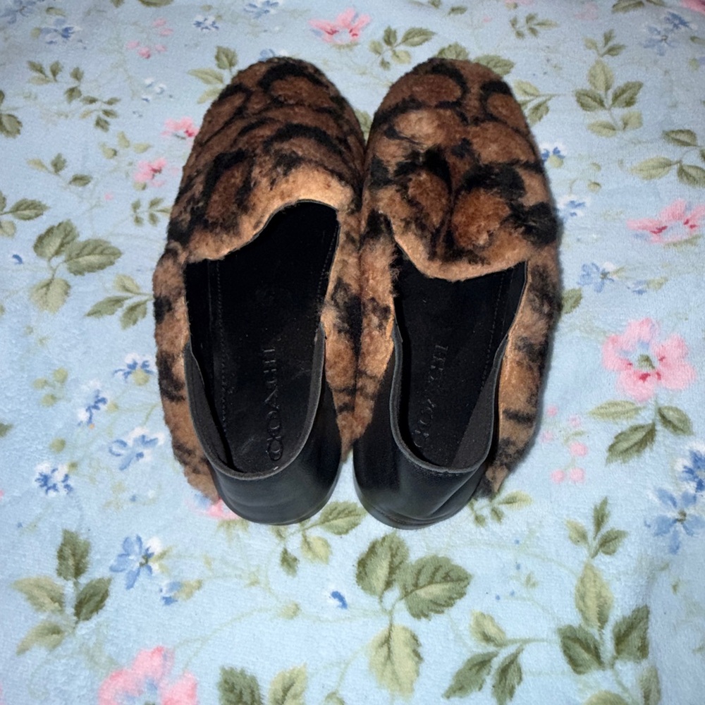Cozy Coach Signature Shearling/Faux Fur Mules with Box. Brand new - Picture 4 of 4